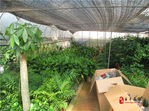 樂平盛興花藝景觀工程的設計與施工