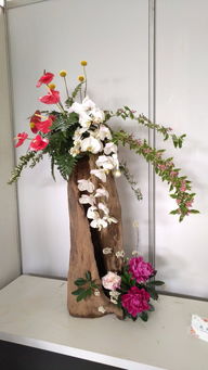 探春上海植物園 二十一項(xiàng)花藝工程的匠心與自然之美