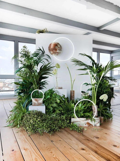 花藝工程中店鋪外包裝的必要性 美學、品牌與商業(yè)價值的融合