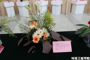 我院成功舉辦首屆花藝作品展 花藝工程